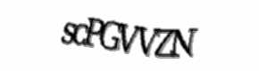 Security check image, please type the characters shown